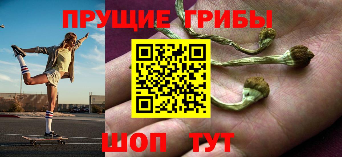 Псилоцибиновые грибы ЛСД Курчатов