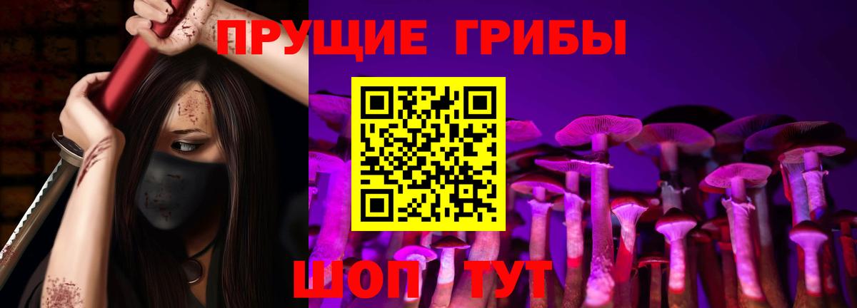 Курчатов  Галлюциногенные грибы GOLDEN TEACHER  Вход с VPN  наркотики  Галлюциногенные грибы Magic Shrooms 